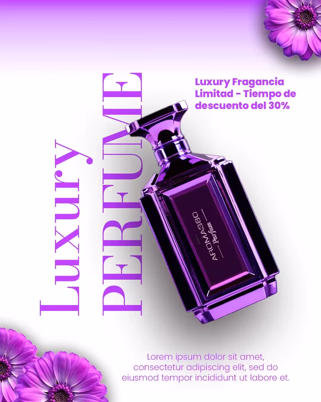 Diseño de branding y publicidad por V&B Agency — Proyecto 12